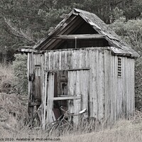 Buy canvas prints of The Old Shed by Carla Maloco