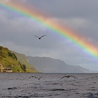 Buy canvas prints of Rainbow Over The Isle Of Skye by Carla Maloco
