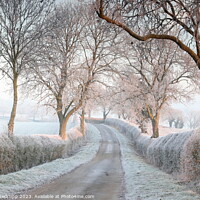 Buy canvas prints of Quiet country lane in the frost by Angela Redrupp