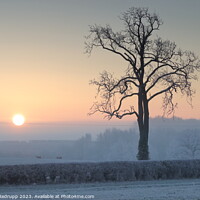 Buy canvas prints of Misty, frosty sunrise by Angela Redrupp