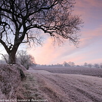 Buy canvas prints of Clouds over a ploughed frosted field at sunrise, Northamptonshire by Angela Redrupp