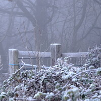 Buy canvas prints of Frosty foggy morning by Angela Redrupp