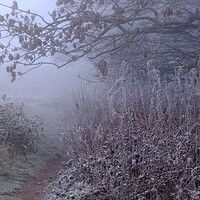 Buy canvas prints of Walk through in the misty, frosty morning by Angela Redrupp