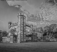 Click to show how this picture will look as a piece of wall art