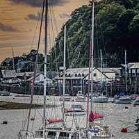 Vibrant Sky Yachts Nature