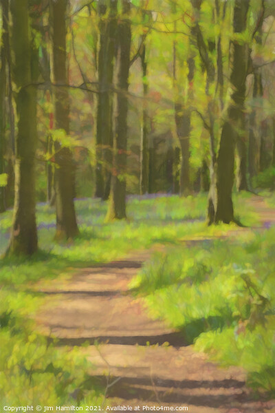 Bluebell forest Picture Board by jim Hamilton