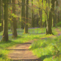 Buy canvas prints of Bluebell forest by jim Hamilton