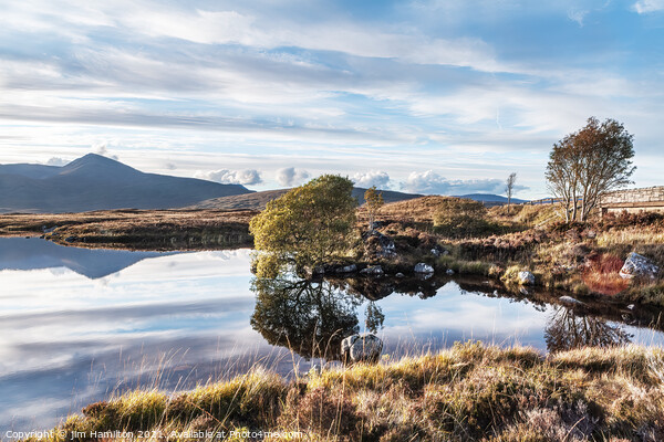 Rannoch Moor, Highlands of Scotland Picture Board by jim Hamilton