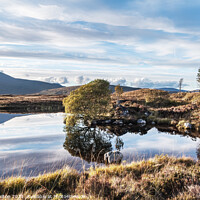 Buy canvas prints of Rannoch Moor, Highlands of Scotland by jim Hamilton