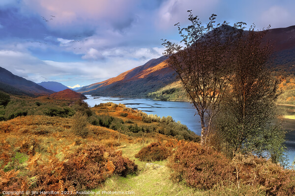 Autumn at Loch Leven Picture Board by jim Hamilton