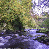 Buy canvas prints of Roe Valley country park,Limavady,Northern Ireland by jim Hamilton