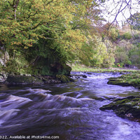Buy canvas prints of Roe Valley country park,Limavady,Northern Ireland by jim Hamilton