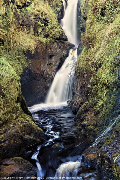 Glenariff forest Park, Northern Ireland Picture Board by jim Hamilton