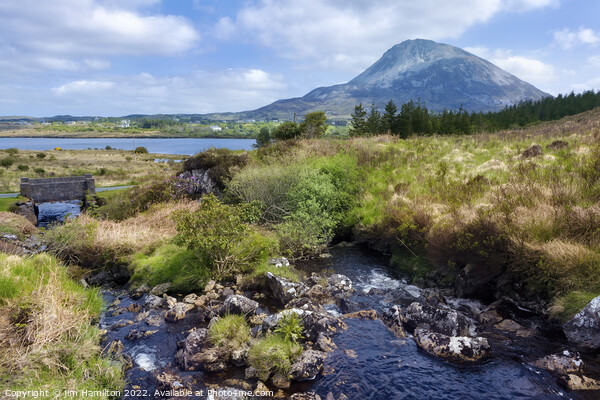 Mount Errigal, Donegal, Ireland Picture Board by jim Hamilton