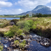 Buy canvas prints of Mount Errigal, Donegal, Ireland by jim Hamilton