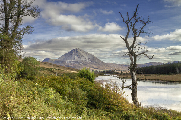 Mount Errigal, Donegal, Ireland Picture Board by jim Hamilton