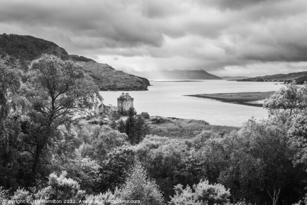 Eilean Donan castle and Loch Alsh Picture Board by jim Hamilton