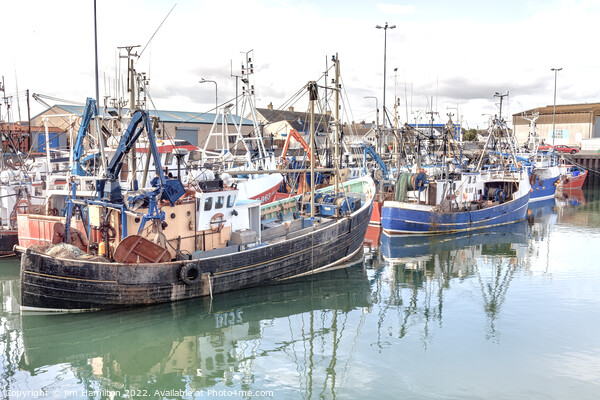 The Vibrant Fishing Culture at Portavogie Harbour Picture Board by jim Hamilton