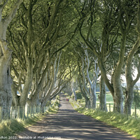 Buy canvas prints of The Enchanting Tree Tunnel of Northern Ireland by jim Hamilton
