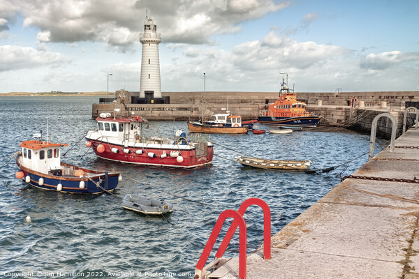 Majestic Donaghadee Lighthouse and Harbour Picture Board by jim Hamilton