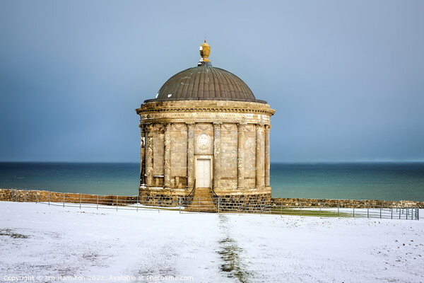 Mussenden Temple, Northern Ireland Picture Board by jim Hamilton