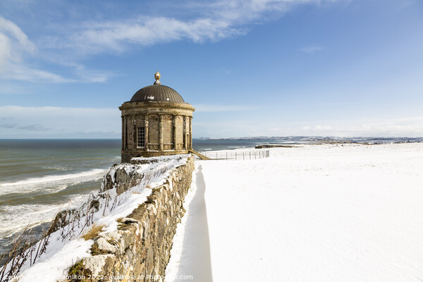 Mussenden Temple, Northern Ireland Picture Board by jim Hamilton
