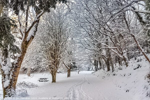 Winter Wonderland Picture Board by jim Hamilton