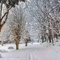Buy canvas prints of Winter Wonderland by jim Hamilton