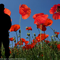 Buy canvas prints of A Hopeful Symbol of Remembrance by jim Hamilton