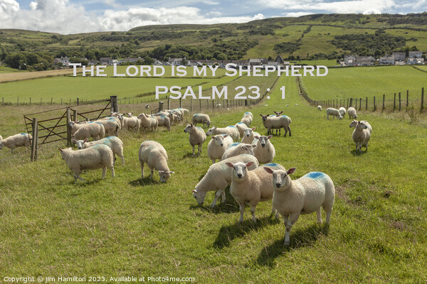 THE LORD IS MY SHEPHERD bible verse on Landscape Picture Board by jim Hamilton