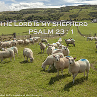 Buy canvas prints of THE LORD IS MY SHEPHERD bible verse on Landscape by jim Hamilton