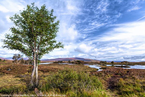 Beautiful Rannoch Moor, Scotland Picture Board by jim Hamilton