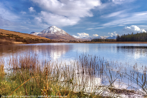 Mount Errigal, Donegal Ireland Picture Board by jim Hamilton