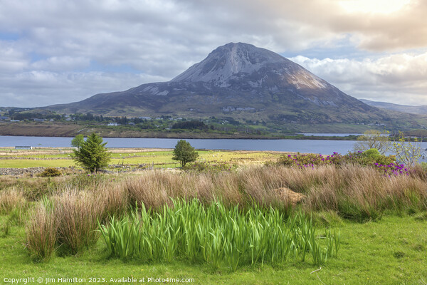 Ireland's Towering Errigal: A Hill Walker's Dream Picture Board by jim Hamilton