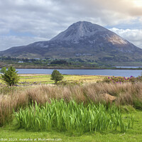 Buy canvas prints of Ireland's Towering Errigal: A Hill Walker's Dream by jim Hamilton