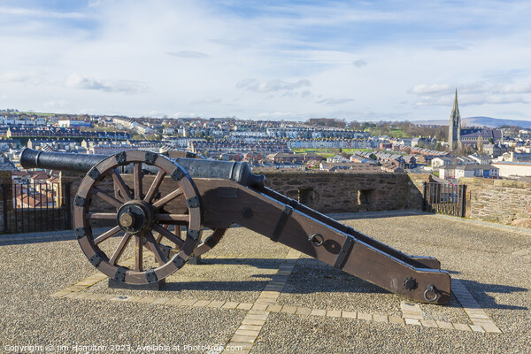 Derry/Londonderry city walls and cannon Picture Board by jim Hamilton