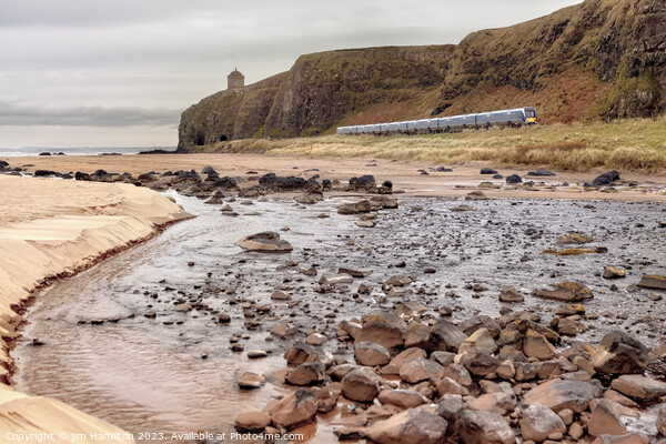Downhill beach Causeway coast Northern Ireland Picture Board by jim Hamilton