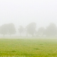 Buy canvas prints of A Foggy Morning by jim Hamilton