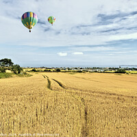 Buy canvas prints of Ready for Harvest by jim Hamilton