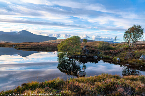 Loch na h-Achlaise, Scotland Picture Board by jim Hamilton