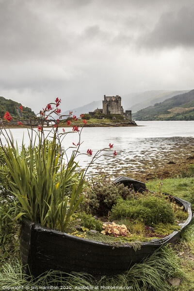 Eilean Donan Castle, Scotland Picture Board by jim Hamilton