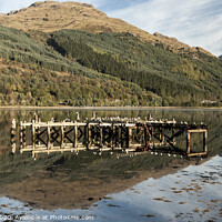 Buy canvas prints of Loch Long at Arrochar,Scotland by jim Hamilton