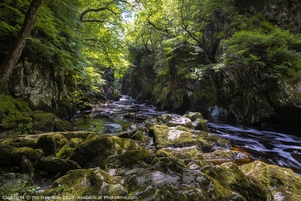 Fairy Glen, Snowdonia Wales Picture Board by jim Hamilton