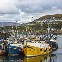 Buy canvas prints of Mallaig Harbour, Scotland by jim Hamilton