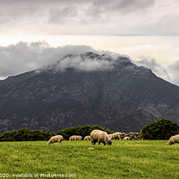 Buy canvas prints of Mountains of Mourne, Northern Ireland by jim Hamilton