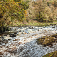 Buy canvas prints of Roe Valley Country Park by jim Hamilton