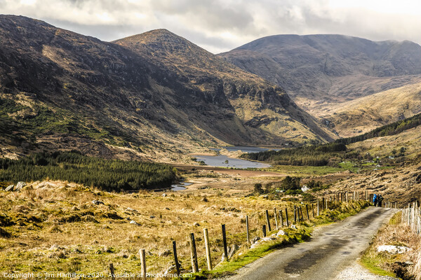 Ring of Kerry, Ireland Picture Board by jim Hamilton