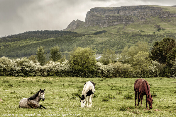 Binevenagh Mountain, Northern Ireland. Picture Board by jim Hamilton