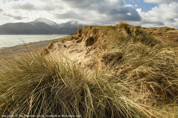 Murlough beach and Sand dunes Picture Board by jim Hamilton