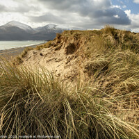 Buy canvas prints of Murlough beach and Sand dunes by jim Hamilton